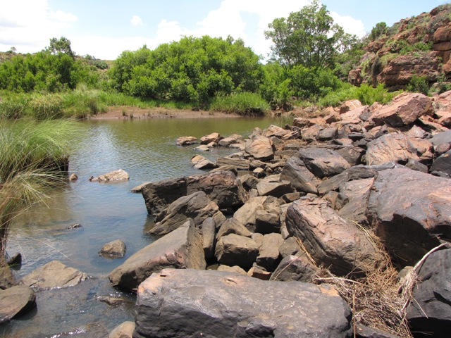 Ezemvelo Nature Reserve