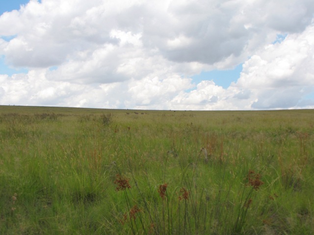 Ezemvelo Nature Reserve2