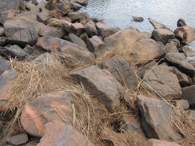 Ezemvelo Nature Reserve6