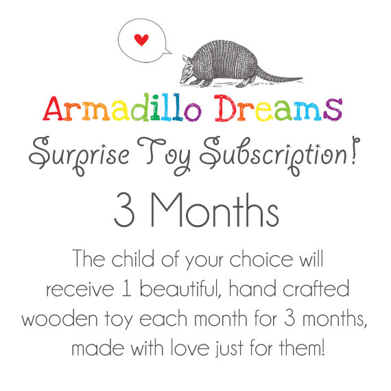 3_month_toy_subscription Armadillo Dreams