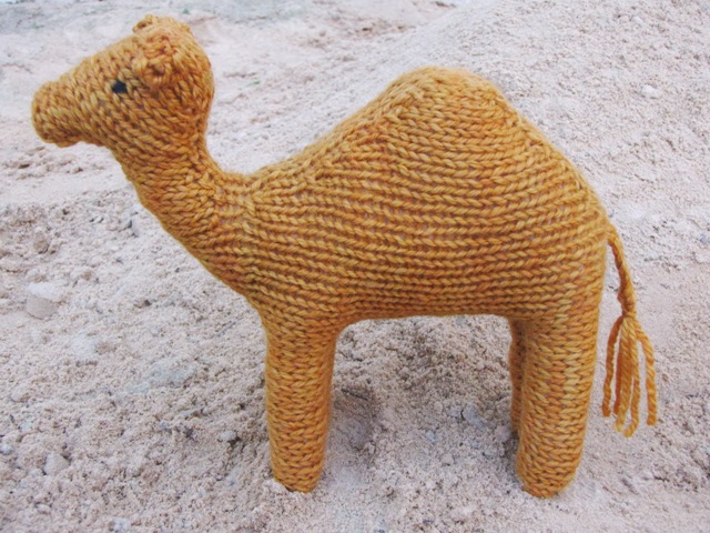 Humphrey the Camel2