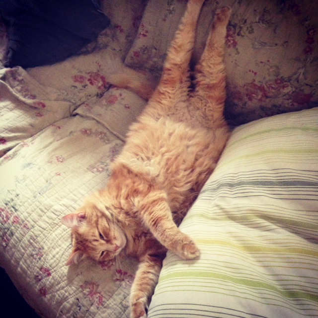 Charlie5