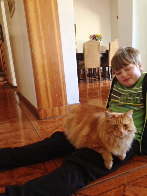 Charlie Cat