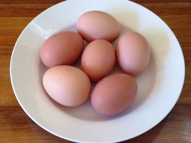 Eggs